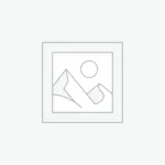 Sleeveless Waisted Dress